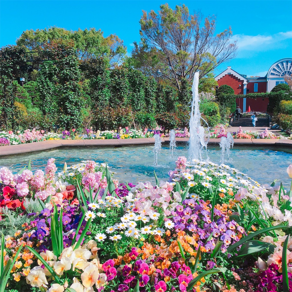 f:id:Liiliya:20190417001443j:image