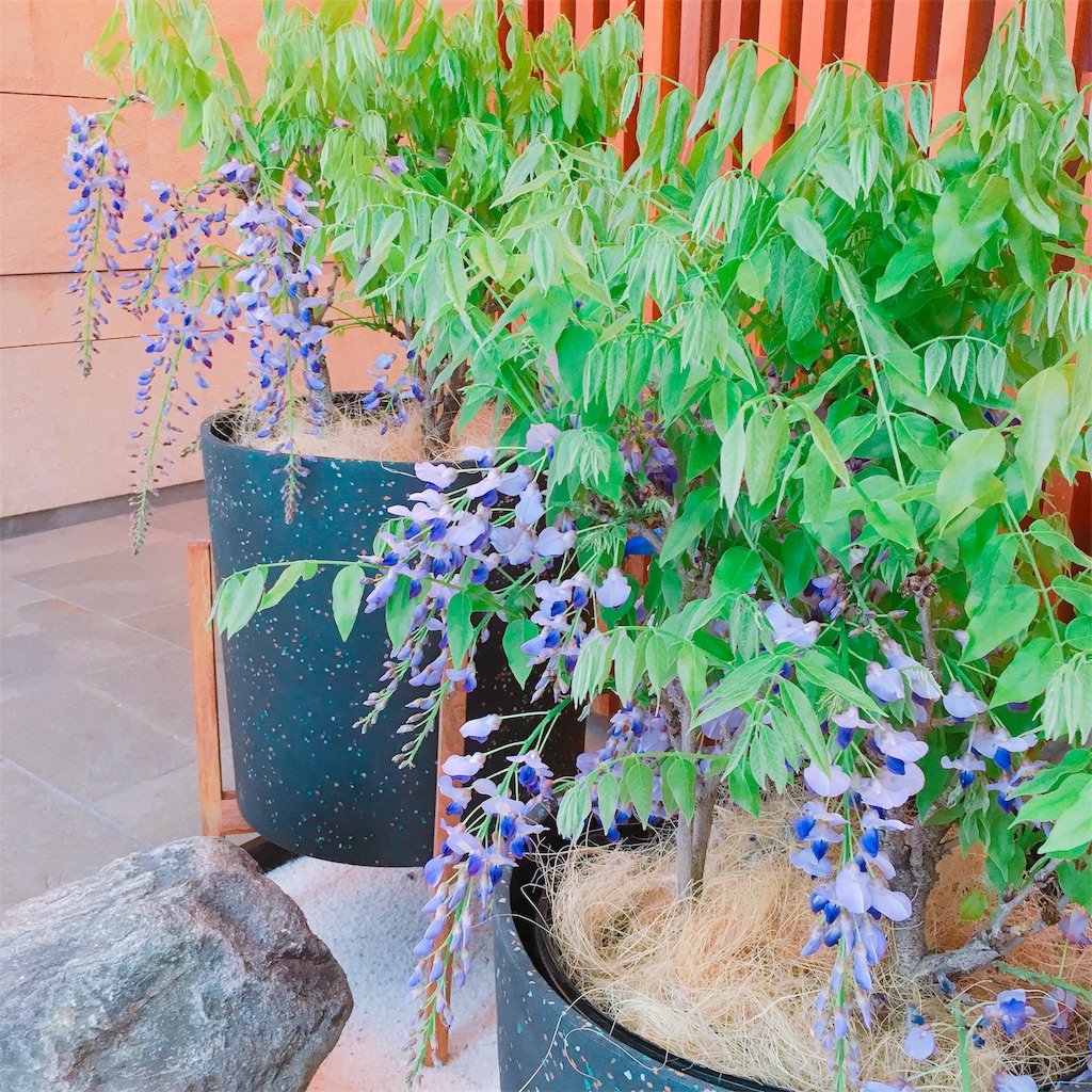 f:id:Liiliya:20190417202313j:image