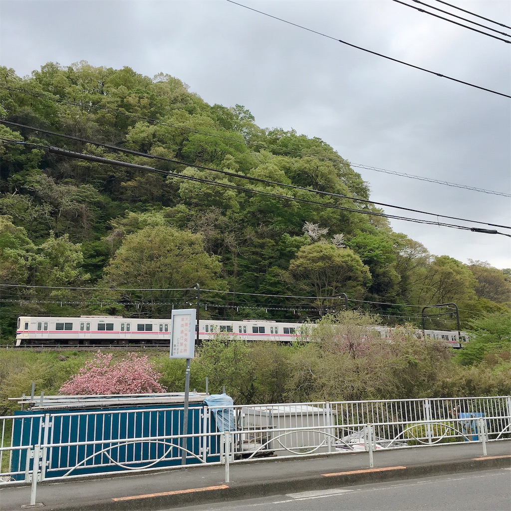 f:id:Liiliya:20190424003559j:image