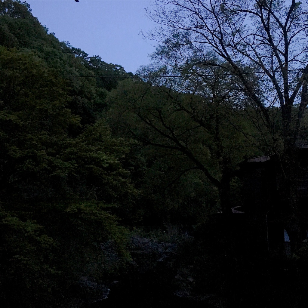 f:id:Liiliya:20190424003609j:image