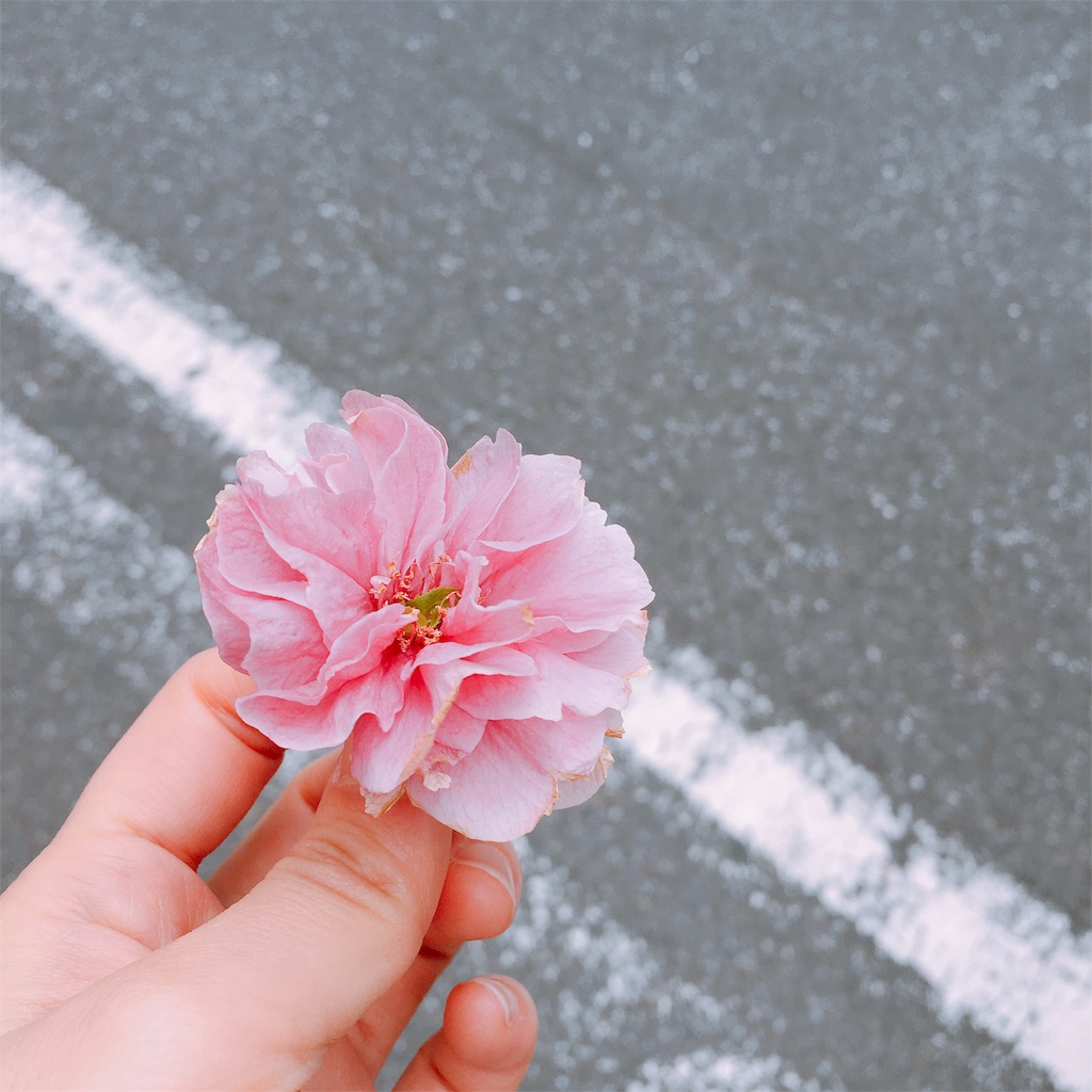 f:id:Liiliya:20190424223030j:image