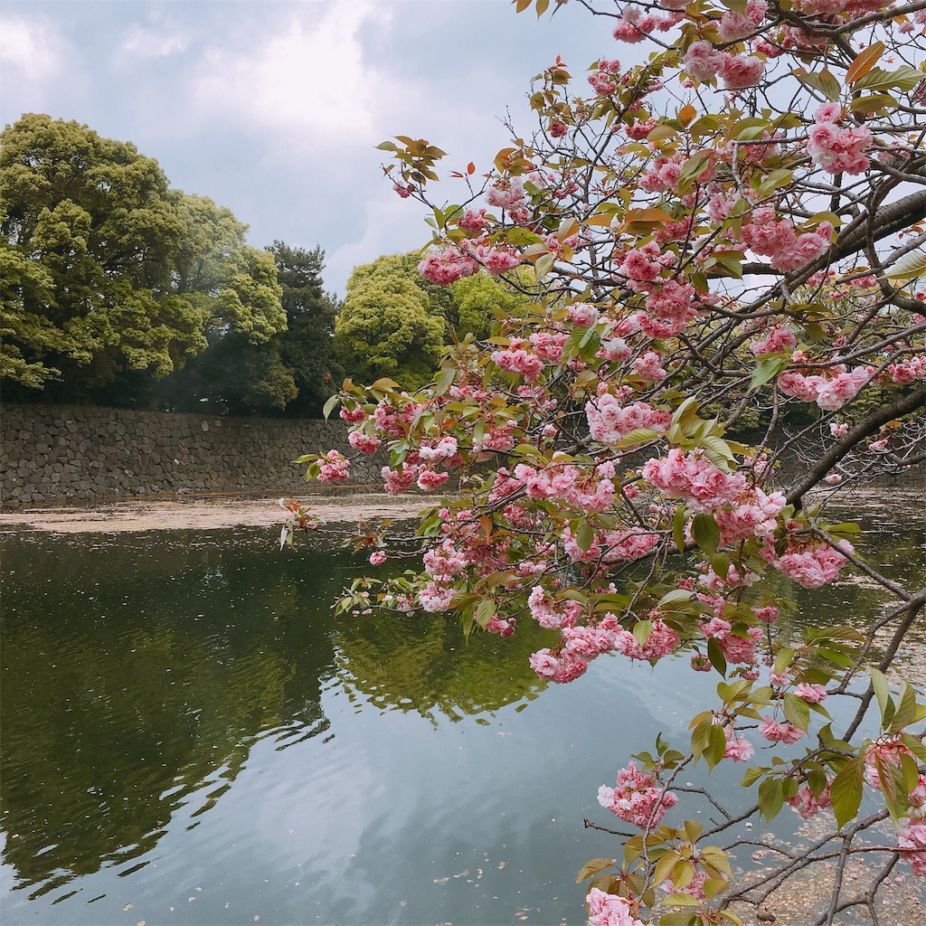 f:id:Liiliya:20190424223121j:image