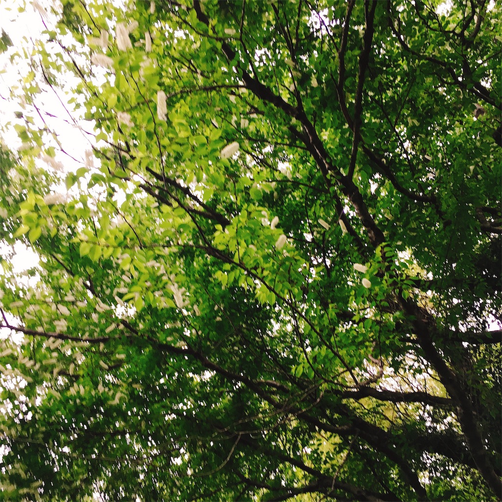 f:id:Liiliya:20190424223133j:image