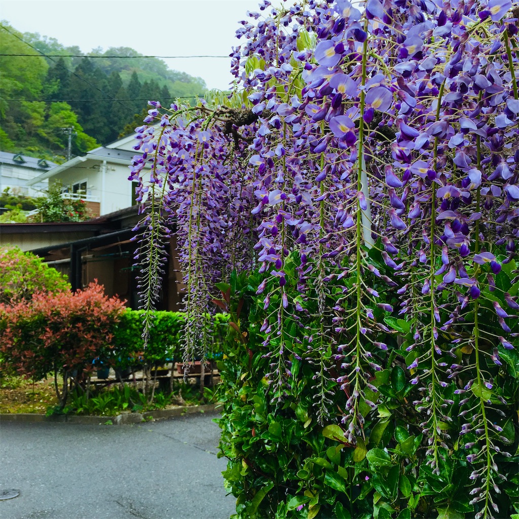 f:id:Liiliya:20190424223143j:image