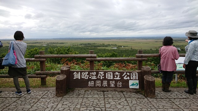 f:id:LikeABird:20190918172651j:image