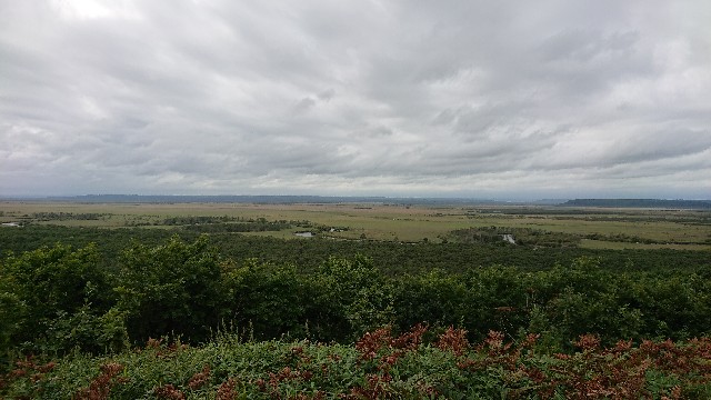 f:id:LikeABird:20190918172801j:image