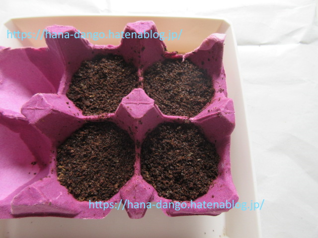f:id:Lily28:20200803222600j:plain f:id:Lily28:20200803222600j:plain