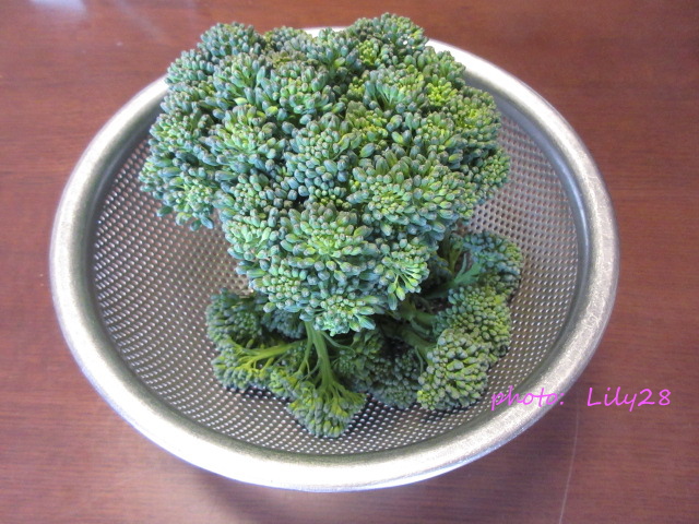 f:id:Lily28:20210314205754j:plain