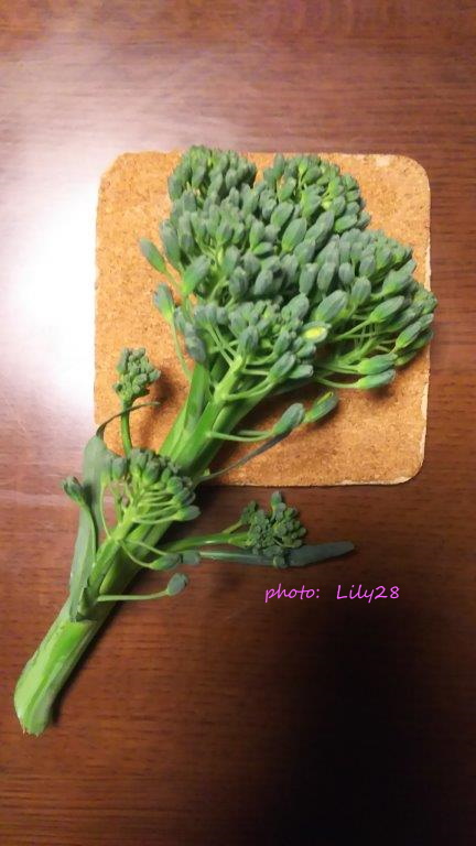 f:id:Lily28:20210314212703j:plain