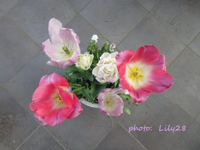 f:id:Lily28:20210411112210j:plain