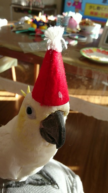 f:id:LilyLaLa:20210116181207j:image