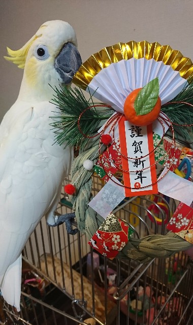 f:id:LilyLaLa:20210220033808j:image