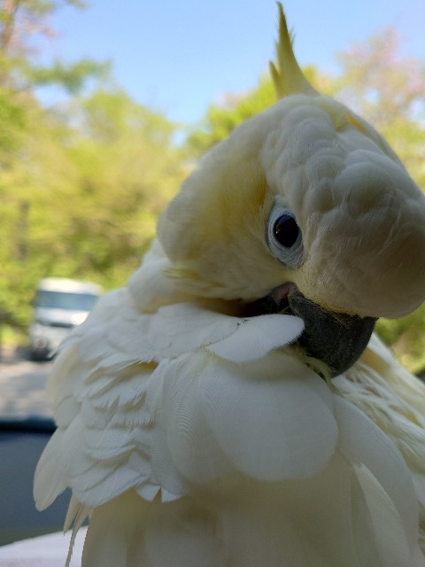 f:id:LilyLaLa:20221231234007j:image