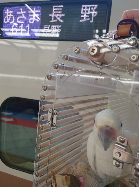 f:id:LilyLaLa:20230103065600j:image