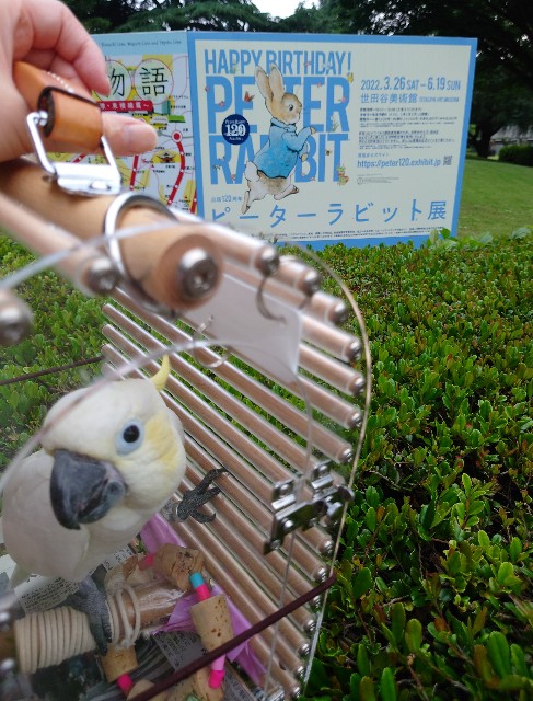 f:id:LilyLaLa:20230103073901j:image