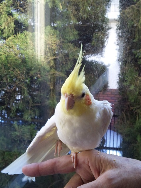 f:id:LilyLaLa:20240902001050j:image f:id:LilyLaLa:20240902001050j:image