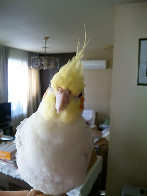 f:id:LilyLaLa:20240902001338j:image f:id:LilyLaLa:20240902001338j:image