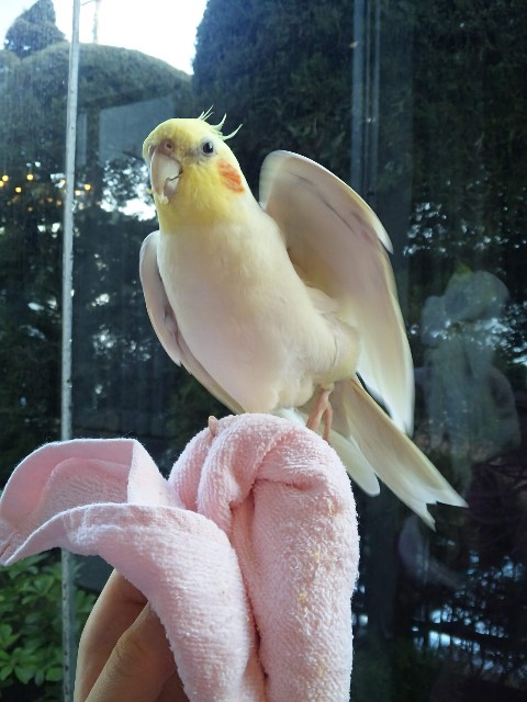 f:id:LilyLaLa:20240902002557j:image f:id:LilyLaLa:20240902002557j:image