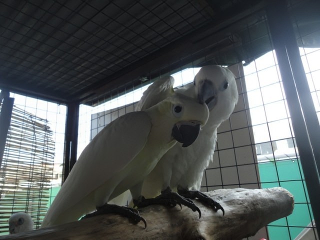 f:id:LilyLaLa:20240902054539j:image f:id:LilyLaLa:20240902054539j:image