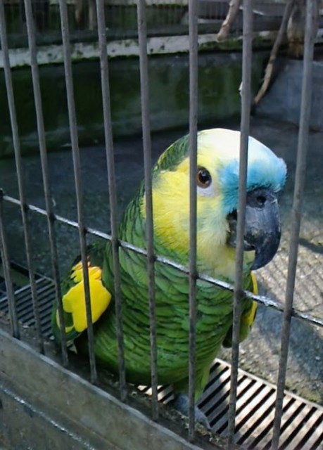 f:id:LilyLaLa:20240902071342j:image f:id:LilyLaLa:20240902071342j:image