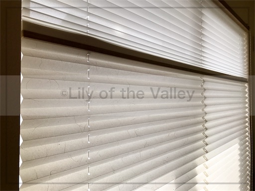 f:id:Lilyofthevalley:20180428034916j:image f:id:Lilyofthevalley:20180428034916j:image