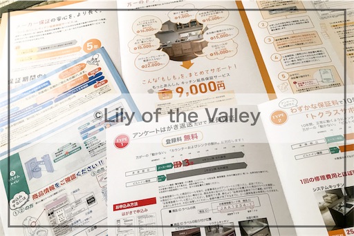 f:id:Lilyofthevalley:20180512070943j:image f:id:Lilyofthevalley:20180512070943j:image
