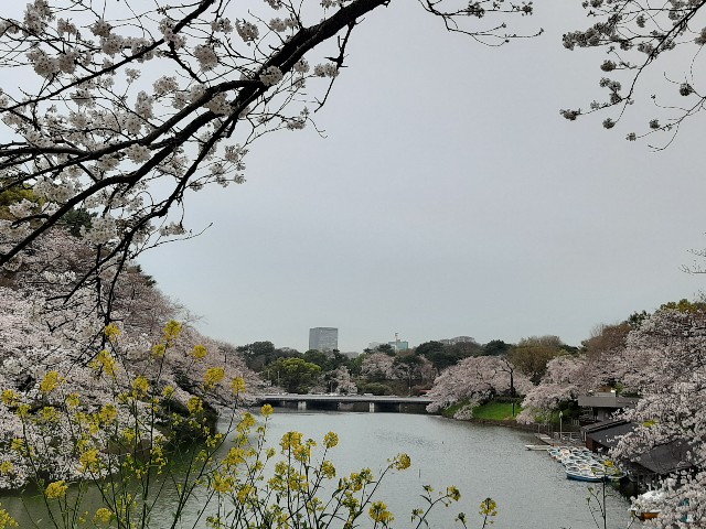 f:id:Limited-time:20210424105146j:image