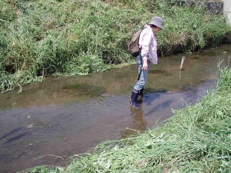 f:id:Limnology:20070603110358j:image:w300