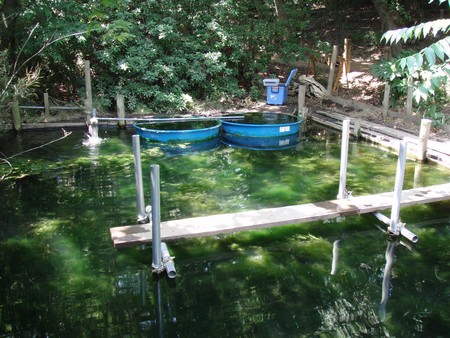 f:id:Limnology:20070608132620j:image:w200