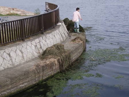 f:id:Limnology:20071013095216j:image:w300
