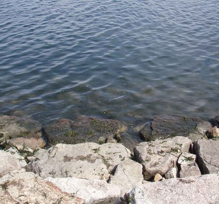 f:id:Limnology:20071013113503j:image:w300