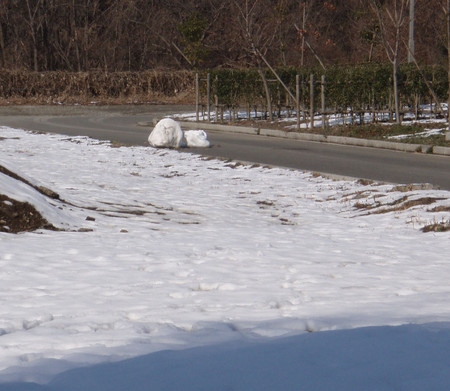 f:id:Limnology:20080205130130j:image:w200