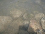 f:id:Limnology:20080729132418j:image:left