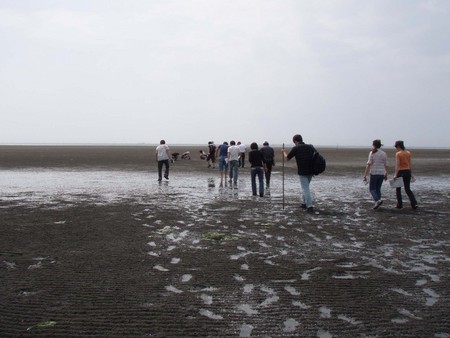 f:id:Limnology:20080801142227j:image