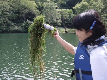 f:id:Limnology:20080930122453j:image