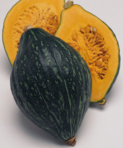 f:id:Limnology:20090302153855j:plain