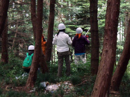 f:id:Limnology:20090820105615j:image