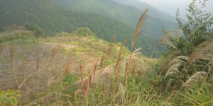 f:id:Limnology:20090928151638j:image