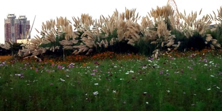 f:id:Limnology:20091001165623j:image