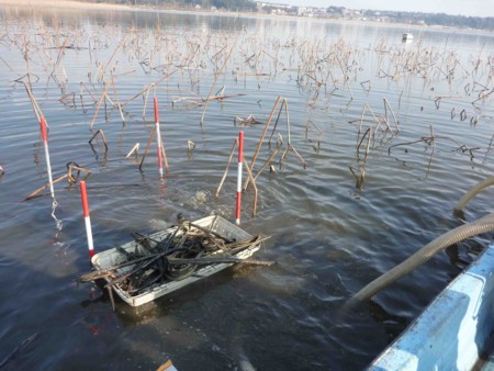 f:id:Limnology:20100105100656j:image