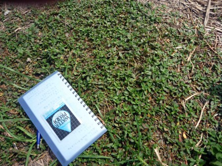 f:id:Limnology:20100822102033j:image