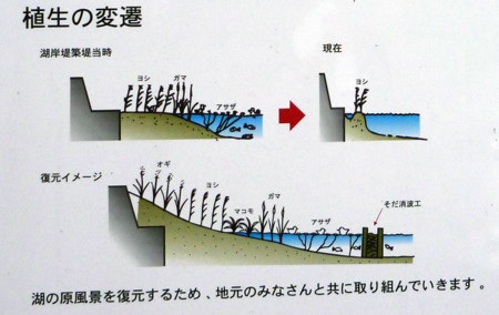 f:id:Limnology:20101013152328j:image