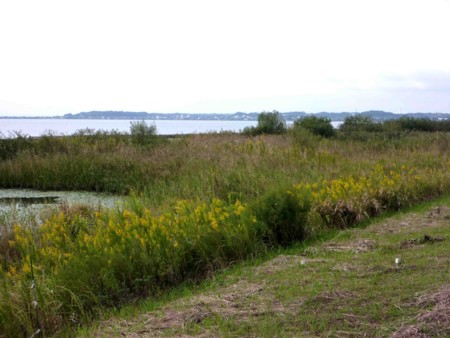 f:id:Limnology:20101013152643j:image