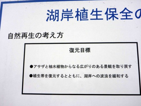 f:id:Limnology:20101013152909j:image