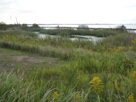 f:id:Limnology:20101013153843j:image