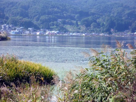 f:id:Limnology:20101023114815j:image f:id:Limnology:20101023114815j:image