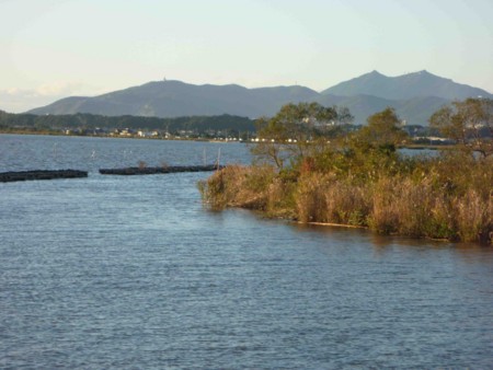 f:id:Limnology:20101103160555j:image