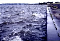 f:id:Limnology:20101112005914j:image