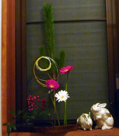 f:id:Limnology:20101231165321j:image