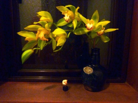 f:id:Limnology:20110101204419j:image